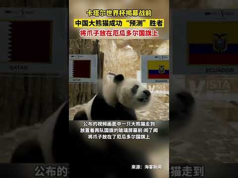 梅州客家半,场领先山东,茹子楠,九游会备用官网,九游会备用链接,九游会真人,九游会中心,九游会备用入口